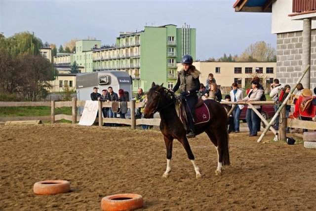 Hubertus 2009